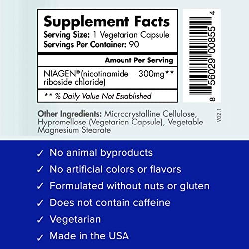51t0dnrAMoL._AC_.jpg