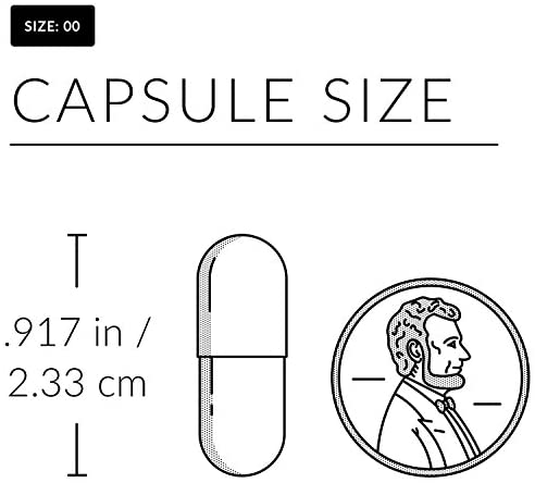 41ZBIbwKElL._AC_.jpg